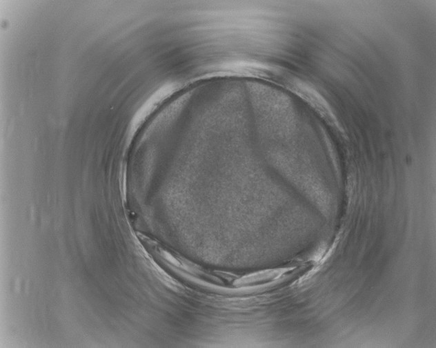 X0000061151180200512091951