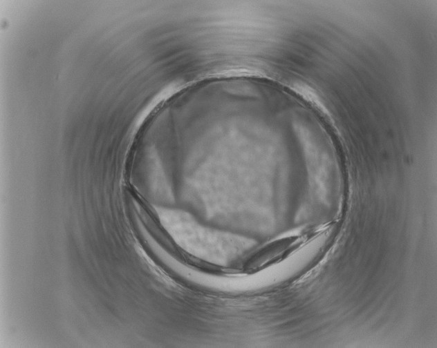 X0000061151181200512091951