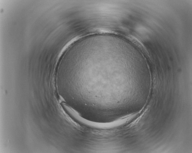 X0000061151182200512091951