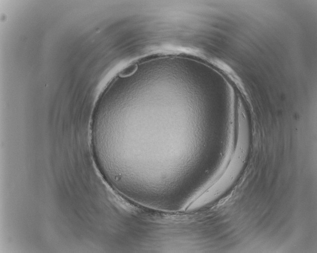 X0000061151183200512091951