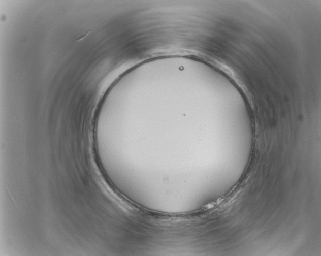 X0000061151187200512091951