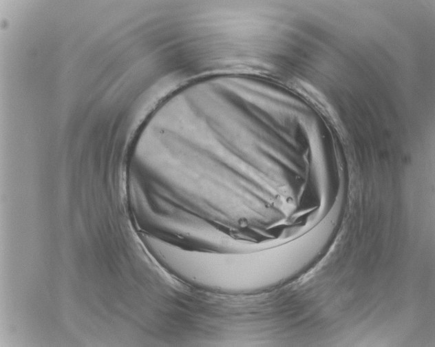 X0000061151188200512091951