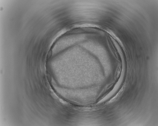 X0000061151189200512091951