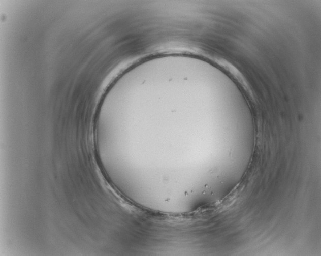 X0000061151191200512091951