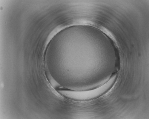 X0000061151192200512091951