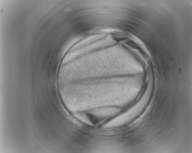 X0000061151194200512091951