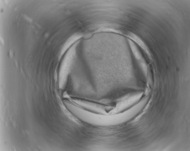 X0000061151198200512091951