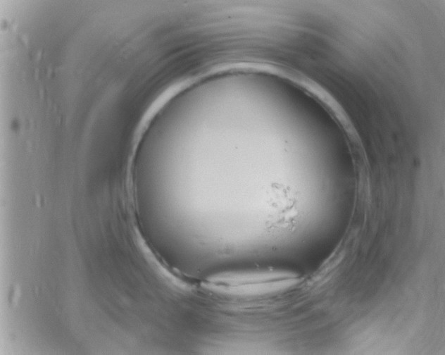 X0000061151199200512091951