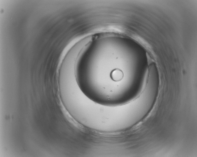 X0000061151200200512091951