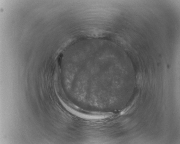 X0000061151202200512091950