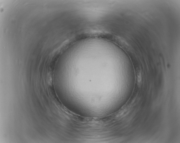 X0000061151204200512091950