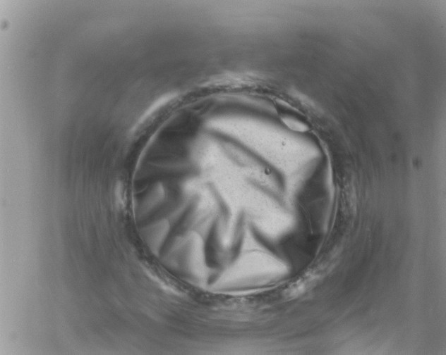 X0000061151206200512091950