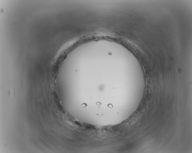 X0000061151207200512091950