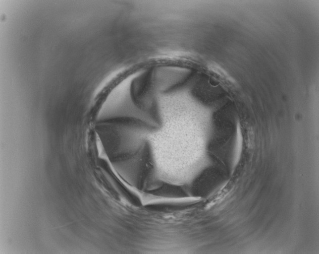 X0000061151208200512091950