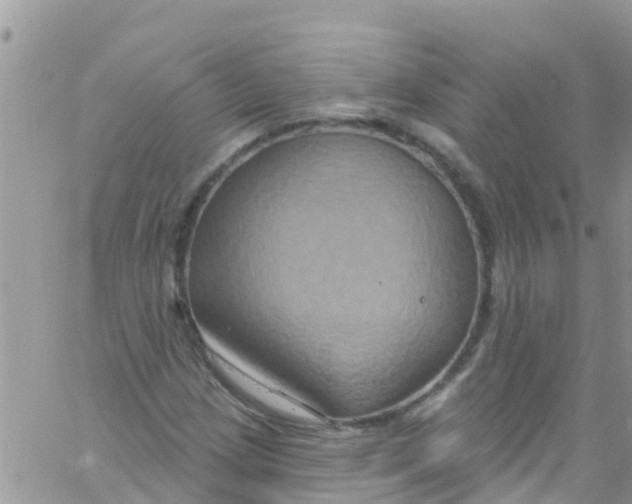 X0000061151209200512091950