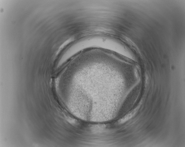 X0000061151210200512091951