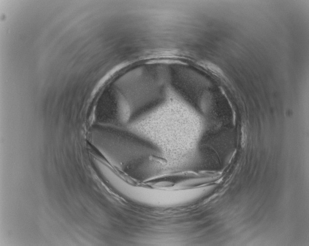 X0000061151212200512091951