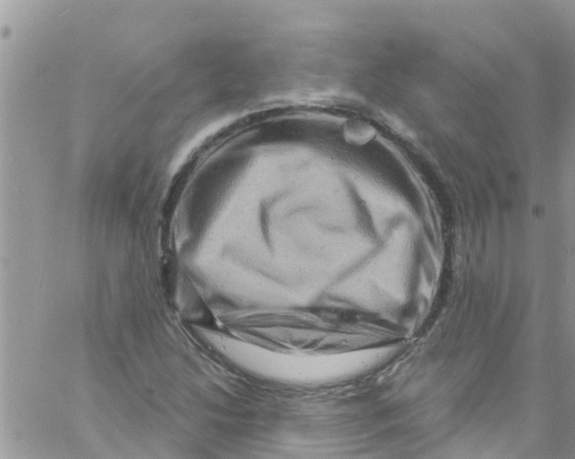 X0000061151214200512091951