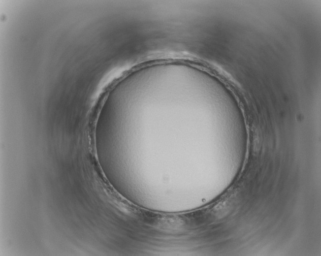 X0000061151215200512091951