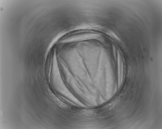 X0000061151216200512091951