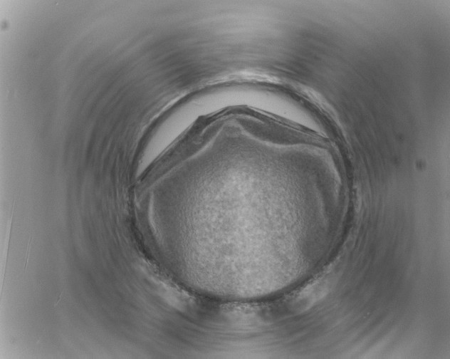 X0000061151217200512091951