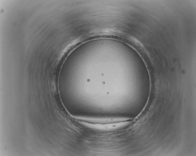 X0000061151218200512091951