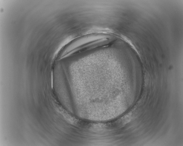 X0000061151219200512091951