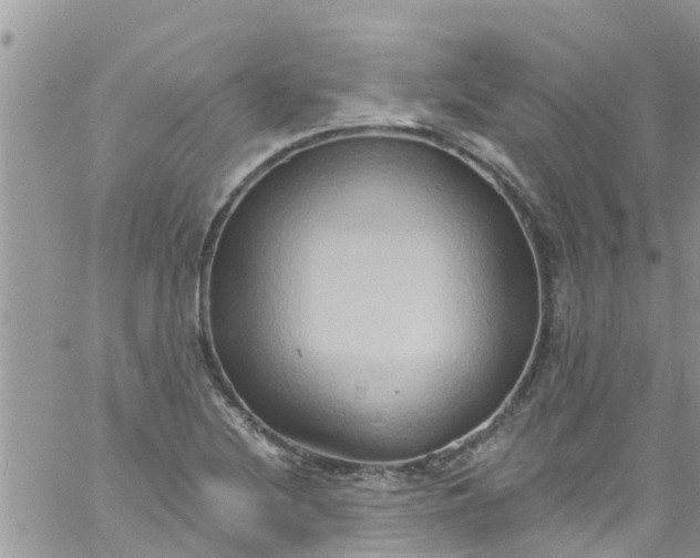 X0000061151220200512091951