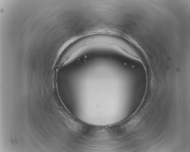 X0000061151222200512091951