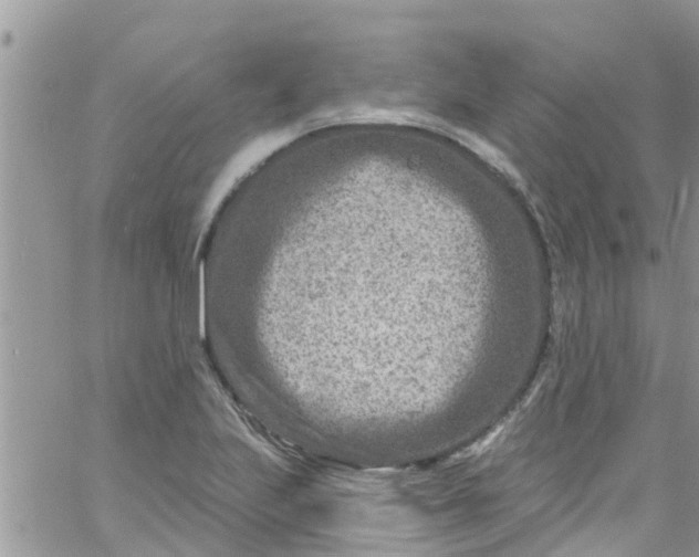 X0000061151223200512091951