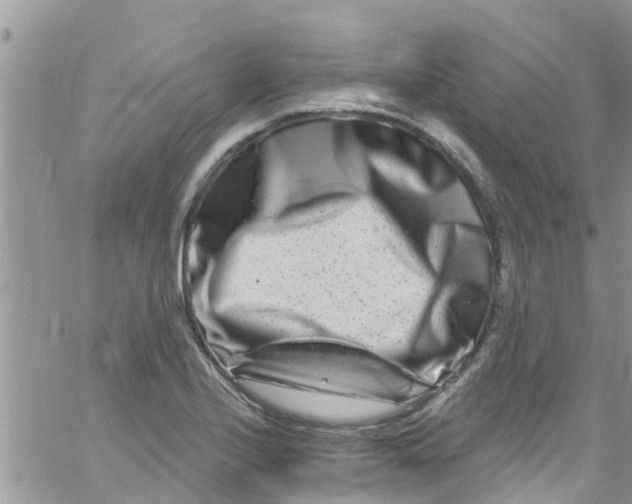 X0000061151224200512091951