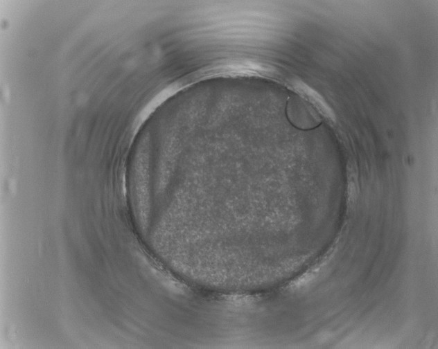 X0000061151226200512091951