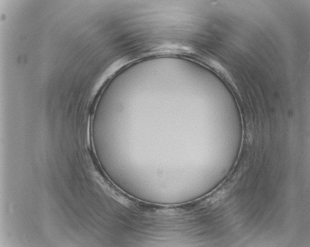 X0000061151227200512091951