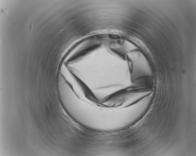 X0000061151228200512091951