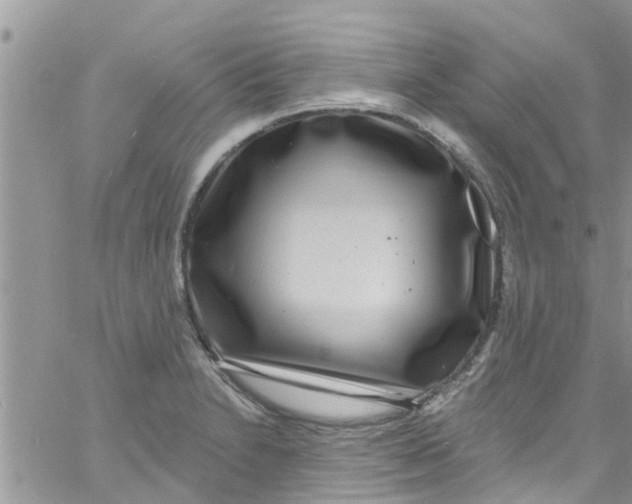 X0000061151230200512091951