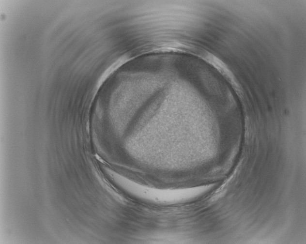 X0000061151234200512091951