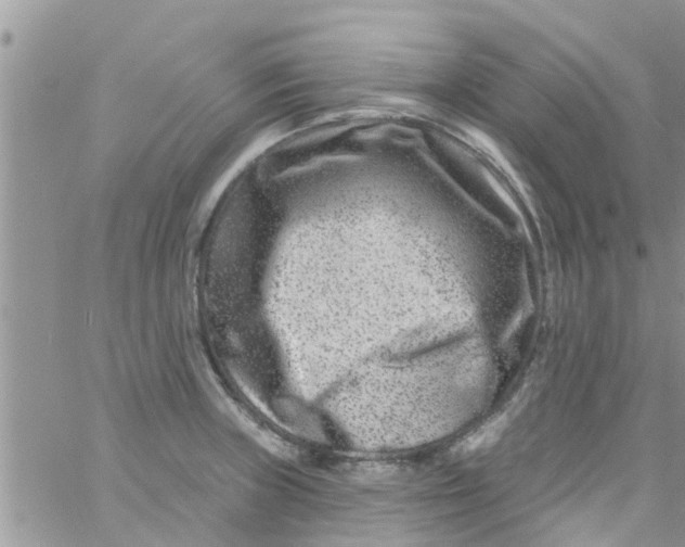 X0000061151235200512091951