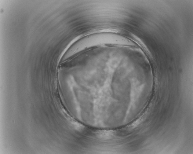 X0000061151236200512091951