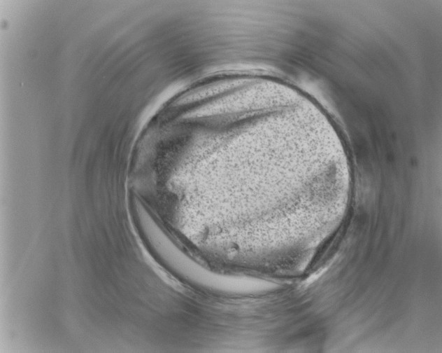 X0000061151237200512091951