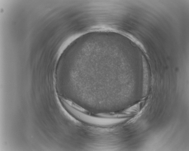 X0000061151239200512091951