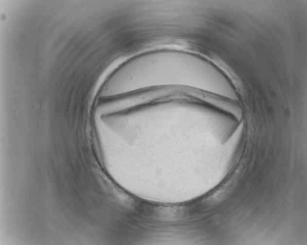 X0000061151240200512091951