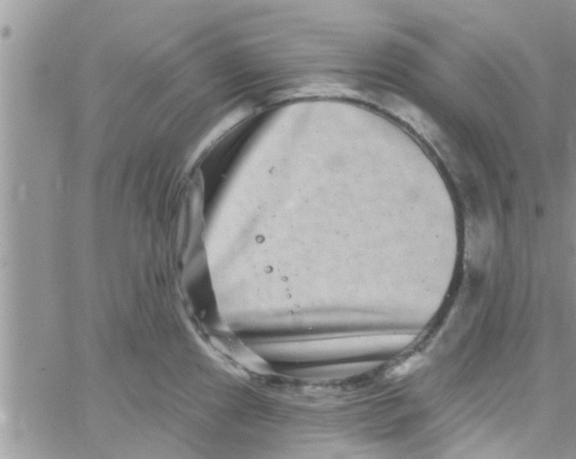 X0000061151241200512091951