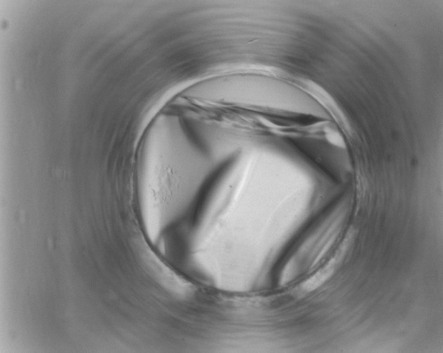 X0000061151244200512091951