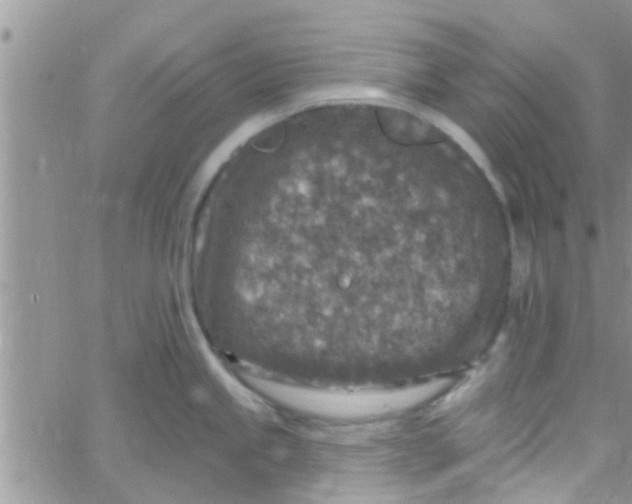 X0000061151245200512091951