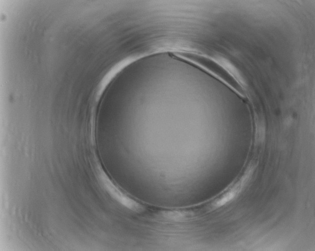 X0000061151246200512091951