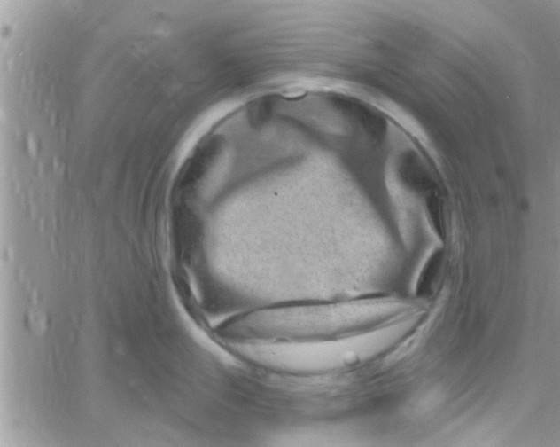 X0000061151247200512091951