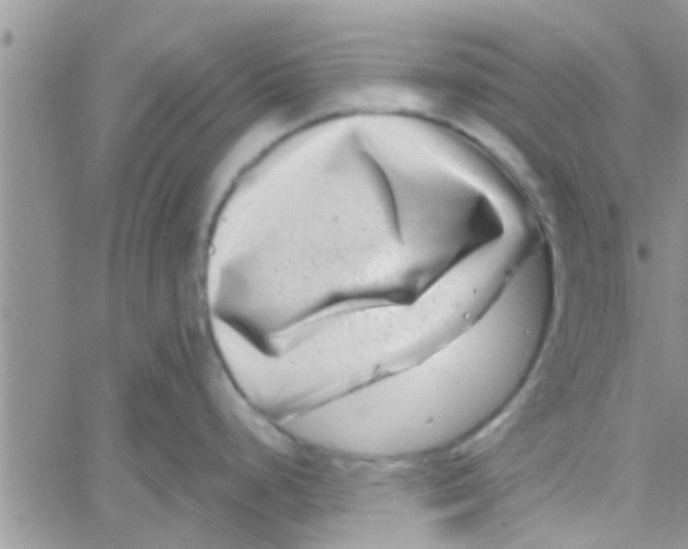 X0000061151248200512091951