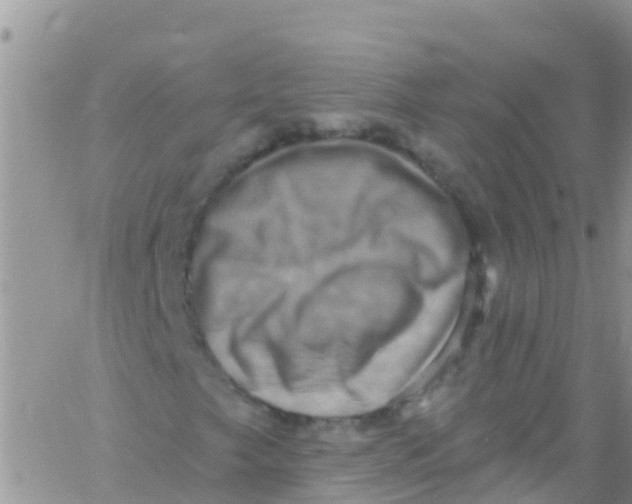 X0000061151249200512091950