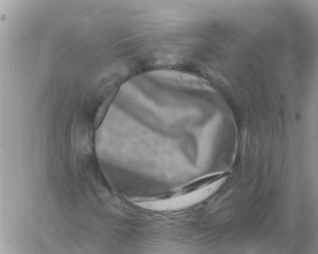 X0000061151250200512091950