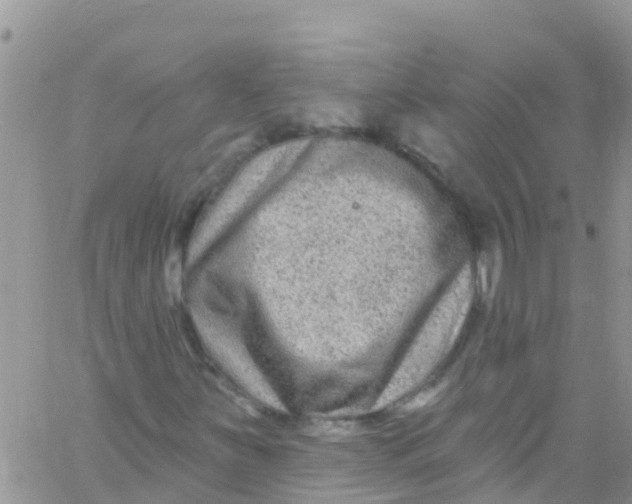 X0000061151251200512091950